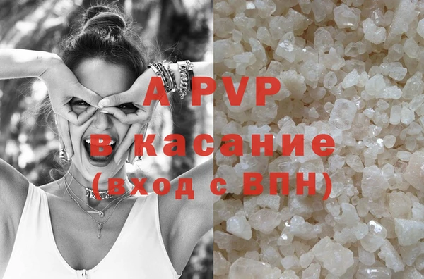прущие грибы Волоколамск