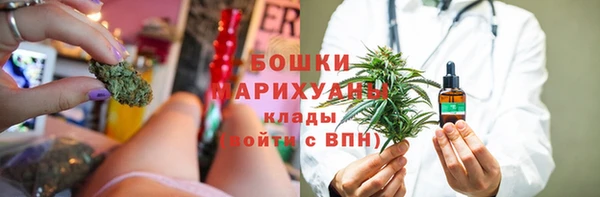 прущие грибы Волоколамск