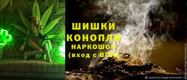 прущие грибы Волоколамск