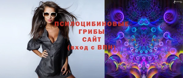 прущие грибы Волоколамск