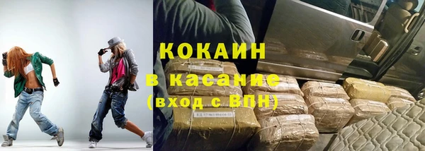 прущие грибы Волоколамск