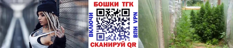 Купить  Емва  Бошки Шишки сатива 